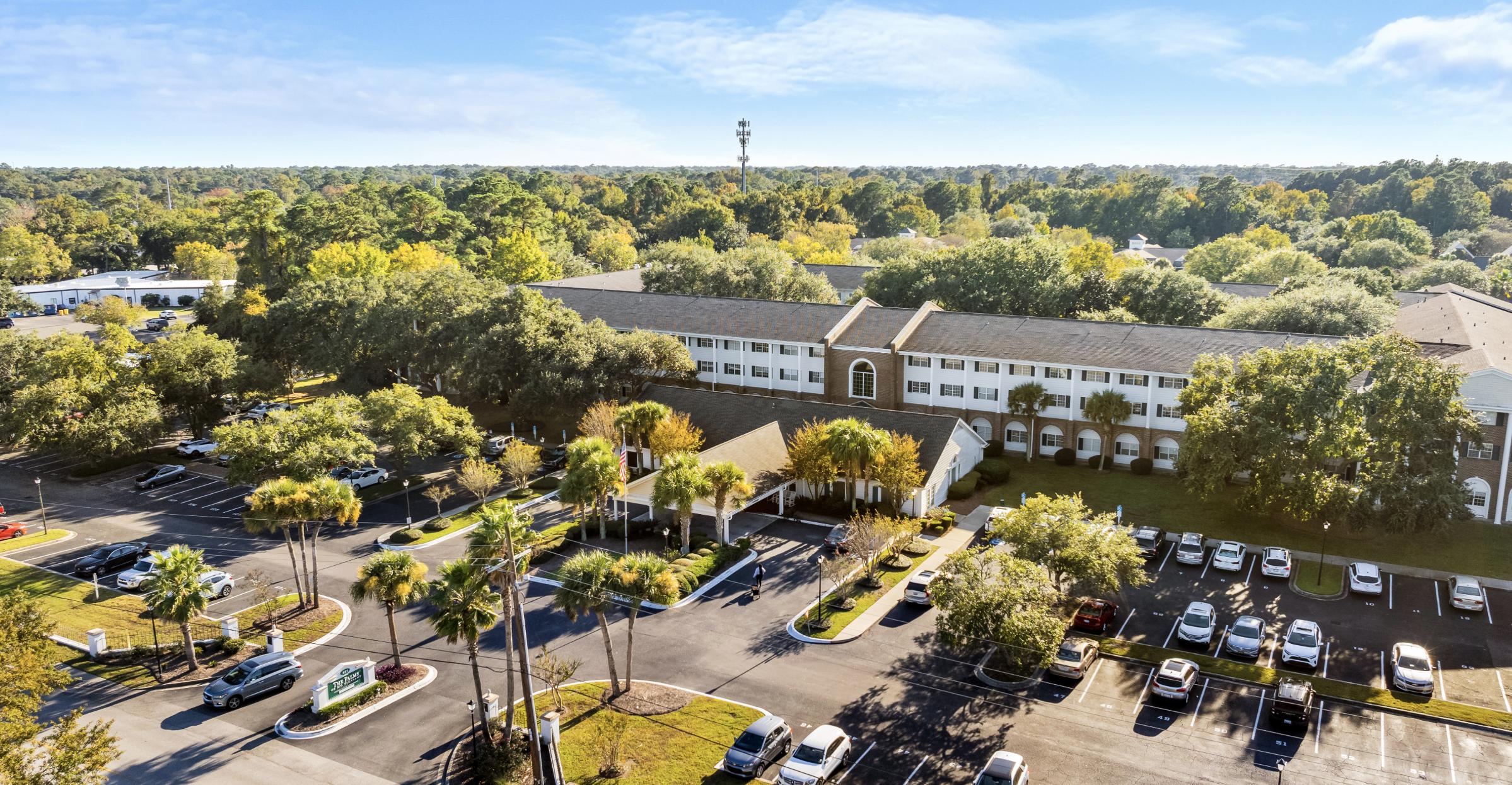 the palms of mt pleasant